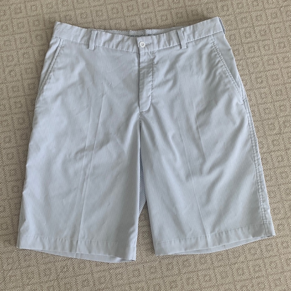 Nike Golf Shorts (34)